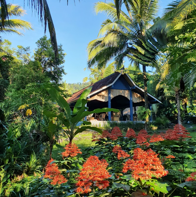 Garden in Sidemen: Learn Sustainable Living During Your Holiday